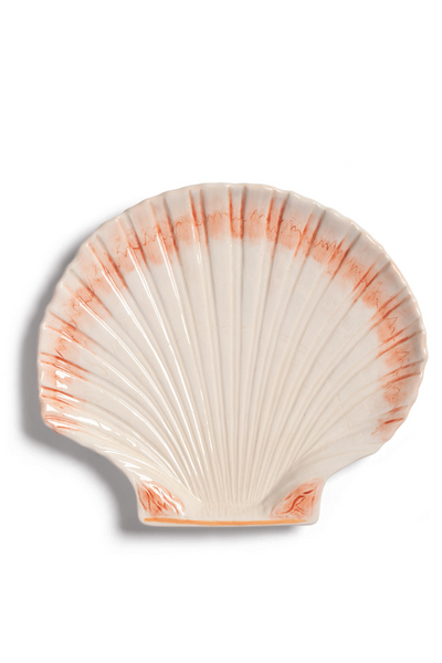 klevering_cockle_plate_my_uncles_house__shell